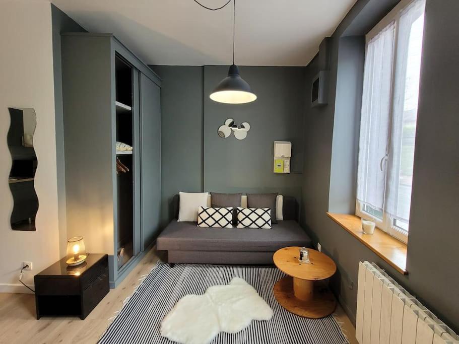Studio Prive Centre Saint Louis モンタルジ エクステリア 写真