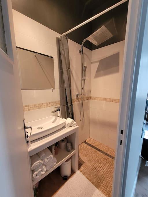 Studio Prive Centre Saint Louis モンタルジ エクステリア 写真